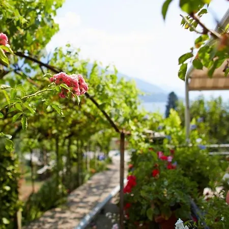 Apartment My Holidays - Giardino E Montagna Gravedona
